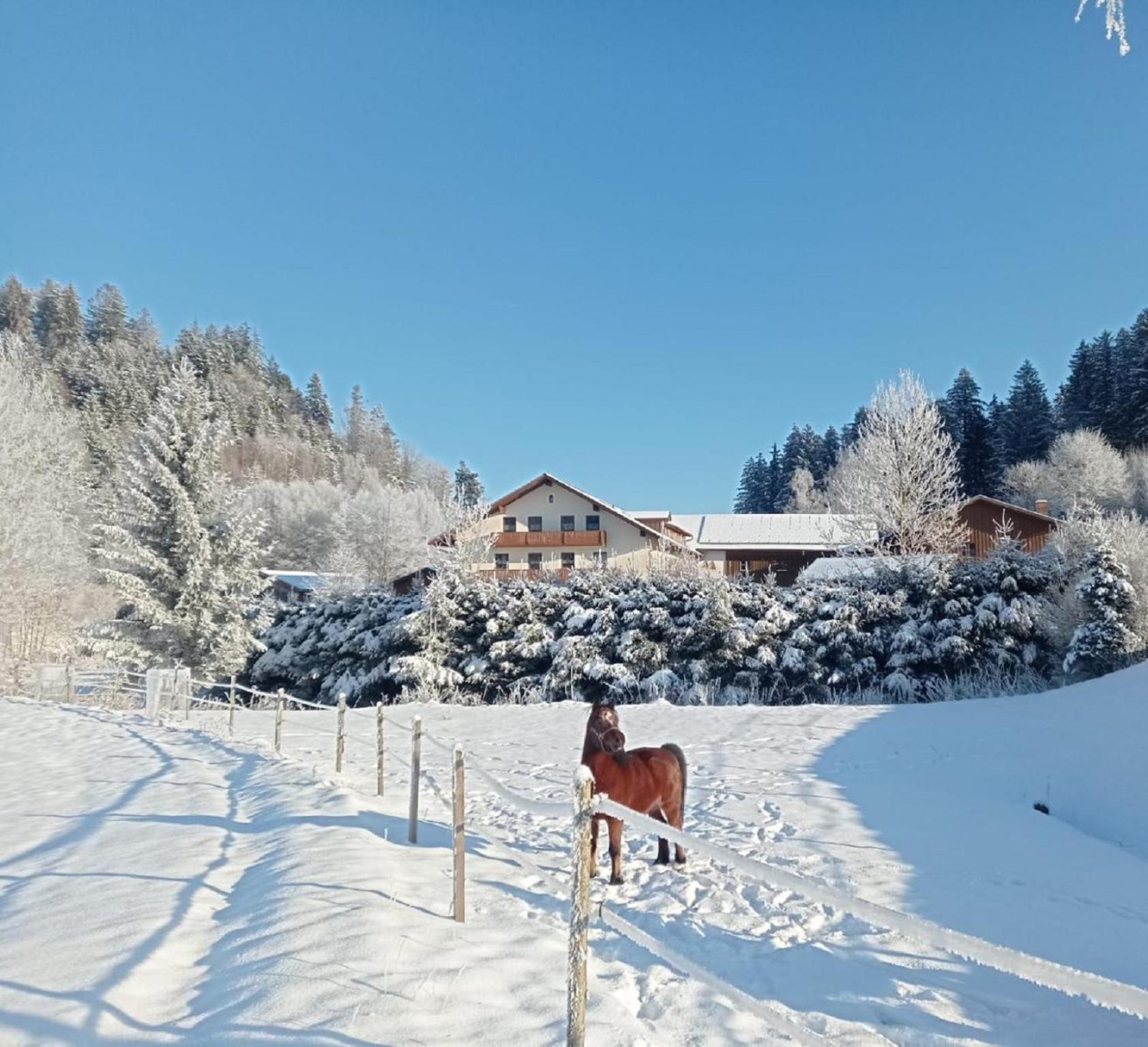 Ferienbauernhof Mehlbach Guest House Kollnburg Luaran gambar