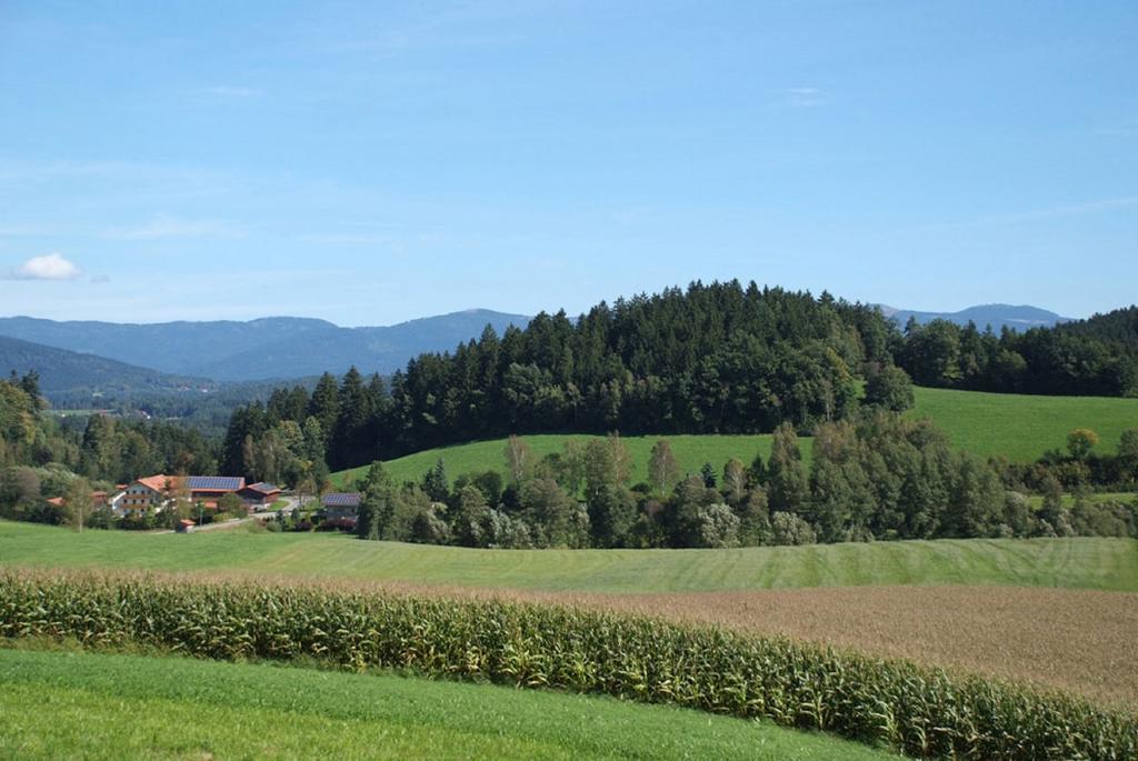 Ferienbauernhof Mehlbach Guest House Kollnburg Luaran gambar